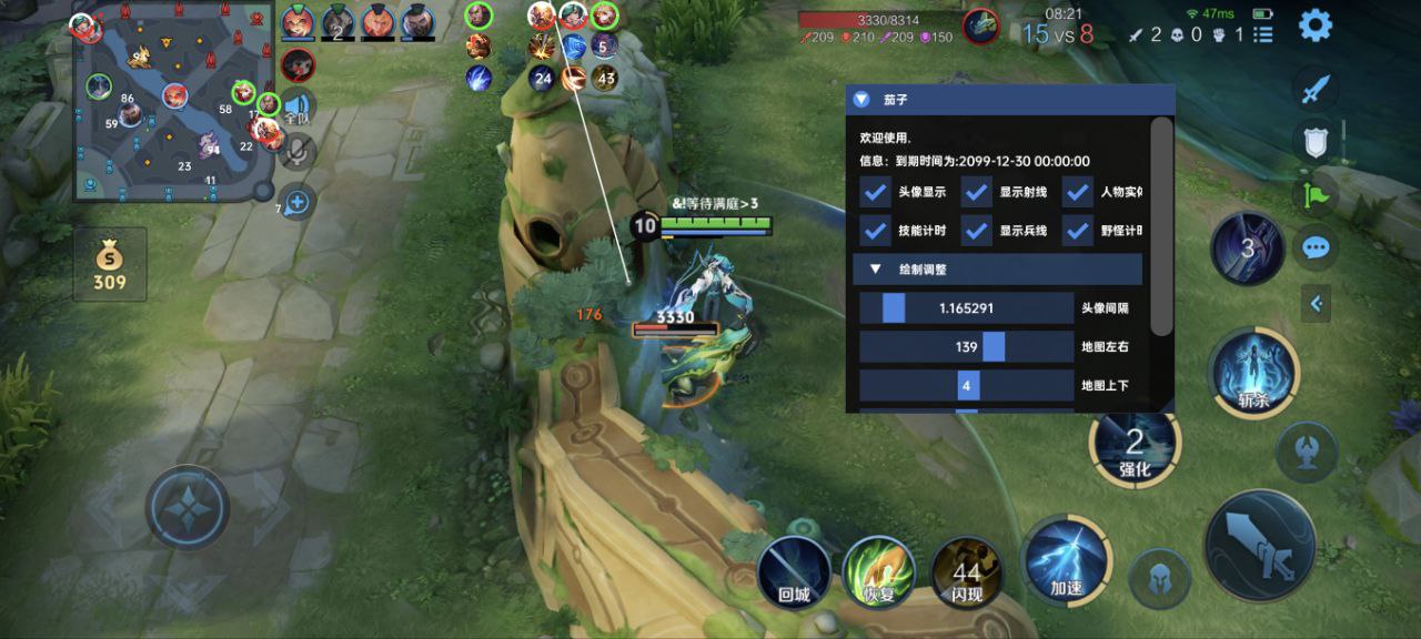 王者荣耀「寒冰」外挂